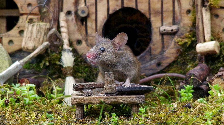 "Mr. Tographer, My Dish Is Empty"