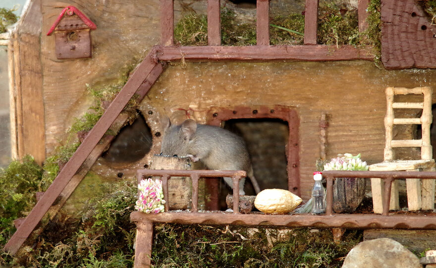 She Did Try To Call Mr Tographer For Help But All He Could Hear Was The Muffled Sound Of A Voice