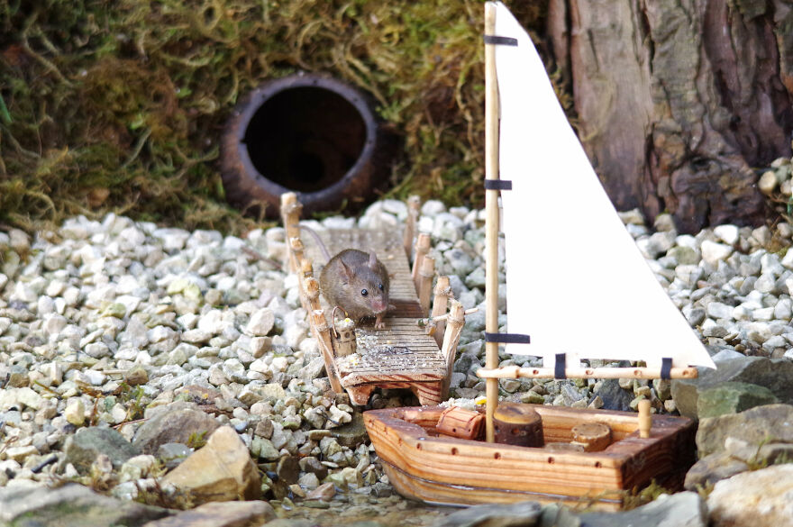 When The Weather Is Fine You Know It's The Time For Messin' About On The River