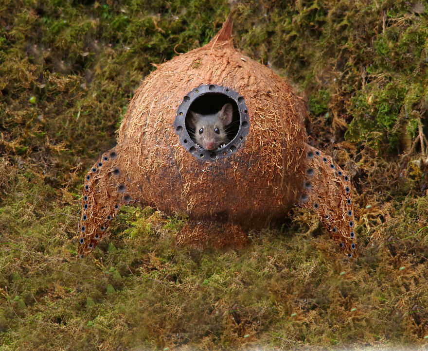 Someone Told The Mouse The Moon Is Made Of Cheese So He Built Himself A Rocket