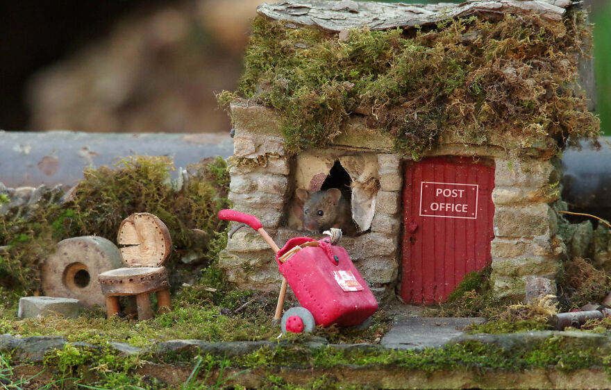 Little Post Master Mouse Is Off To Deliver The Mail