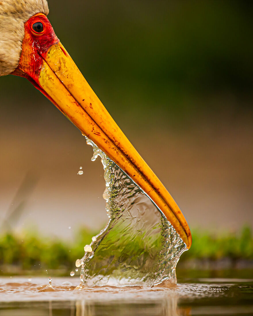 Highly Commended: Mohammad Murad - Water Barrier (Attention To Detail)