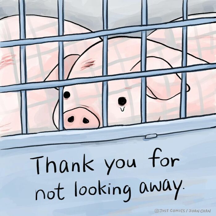 Illustration of a sad pig behind bars with a tear, highlighting animal a***e and factory farming issues.