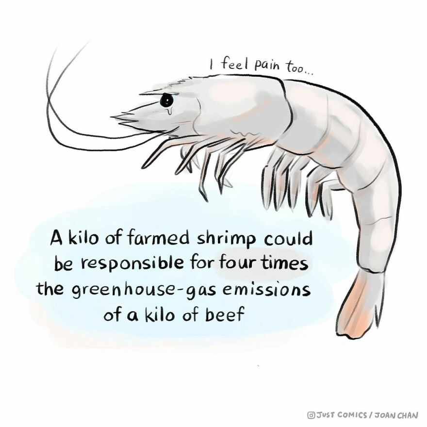 These Comics Showing The Suffering Of Animals Will Make You Think ( 77 Comics)