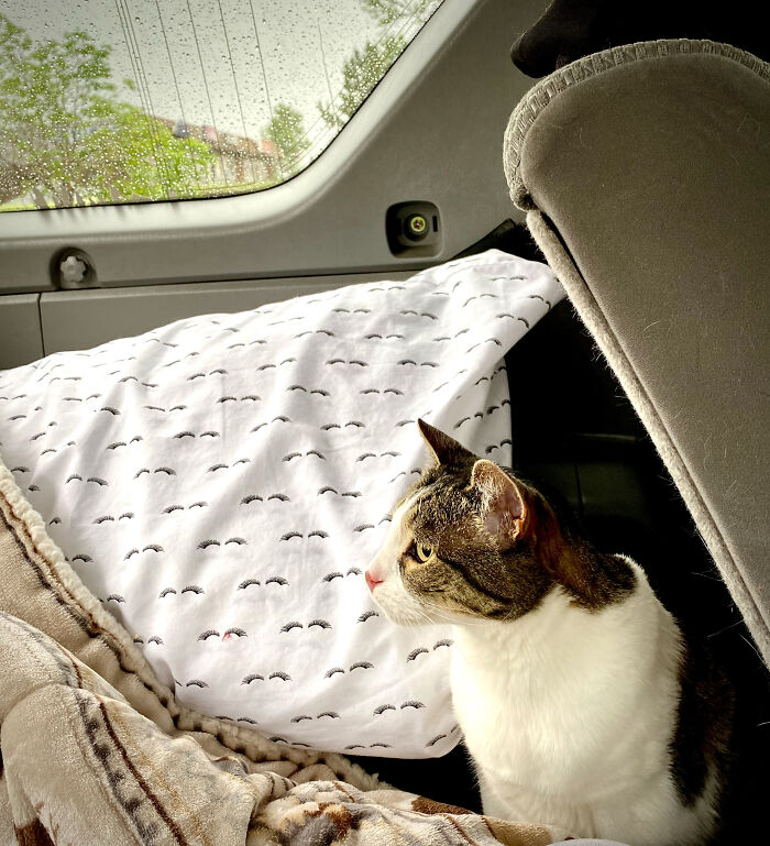 Warm And Dry During The Raiin