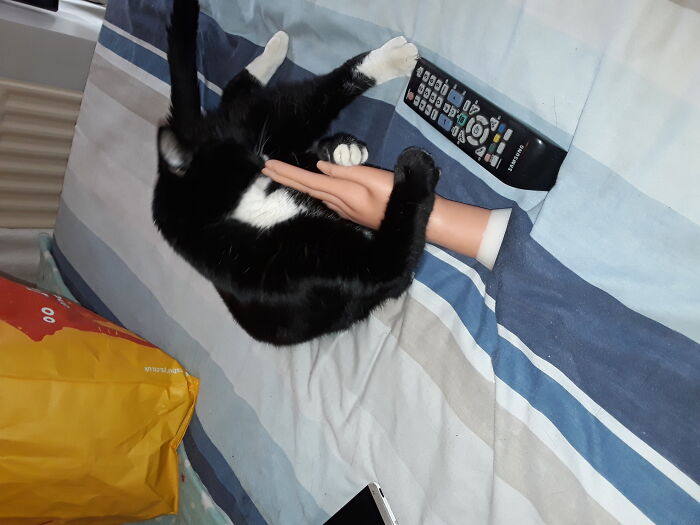 It Worked! My Fake Hand Gave Me A Break