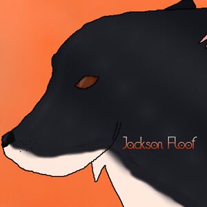 Jackson Floof