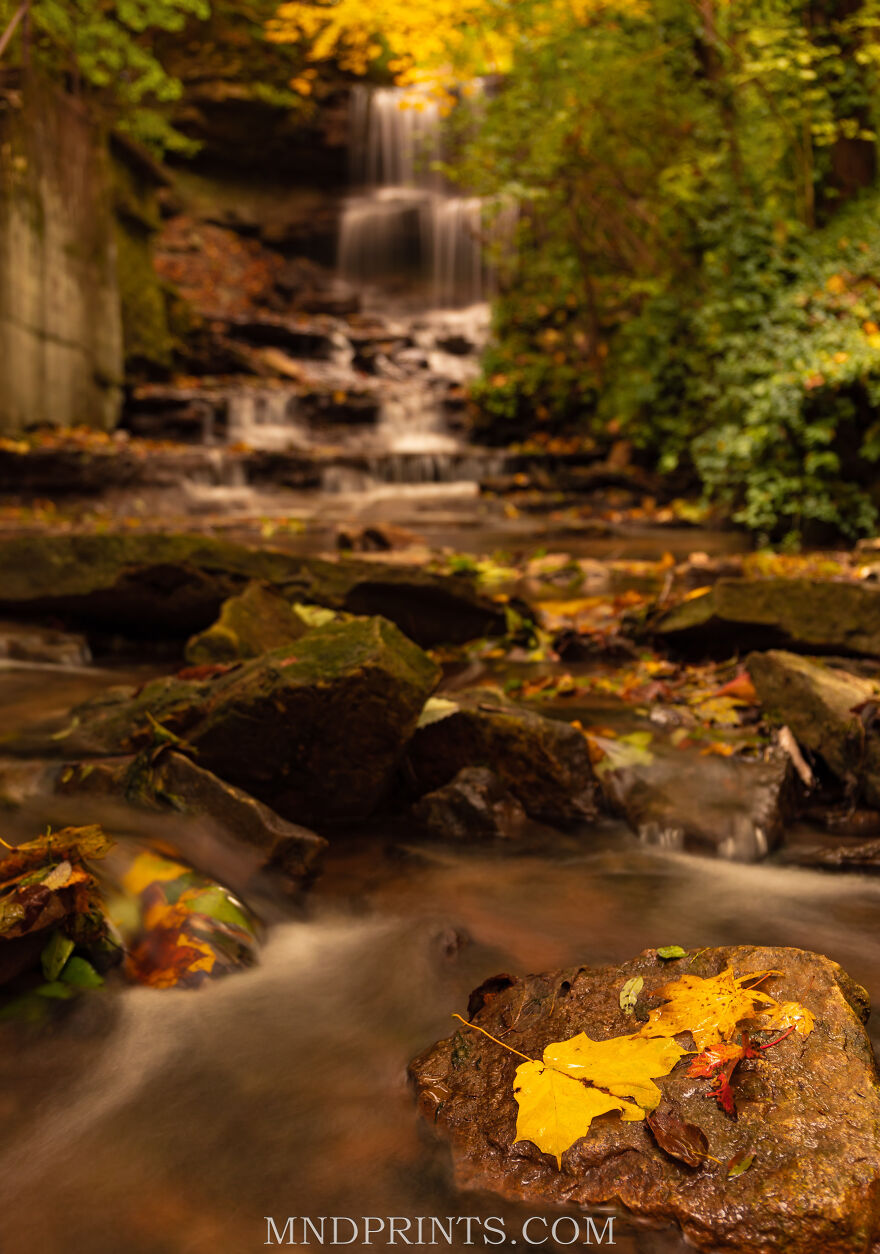 I'm Ready For Fall Photography (4 Pics)