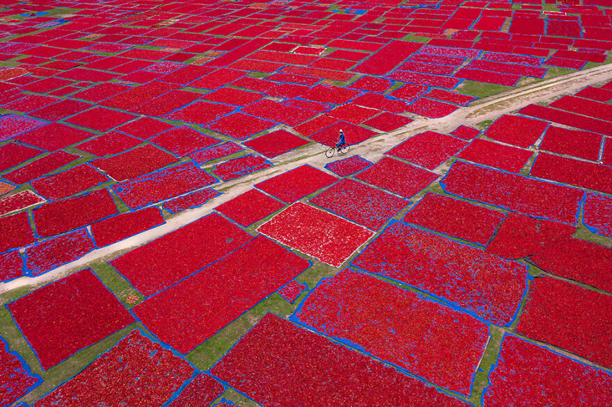 Sailor Of Red Chilies Sea By Sujon Adhikary