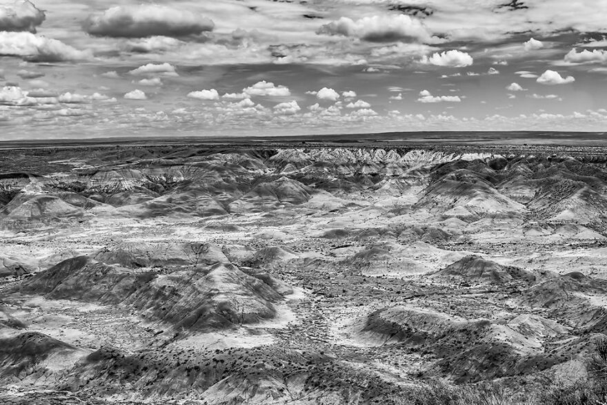 Painted Desert By Barry Guthertz