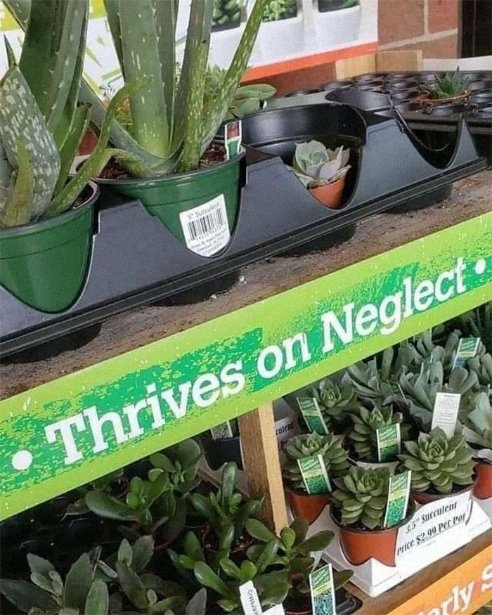 Ads-With-Threatening-Auras