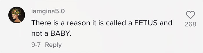 Woman Presents 6 Constructive Arguments On Why Those Who Consider A Fetus To Be A Baby Are Wrong