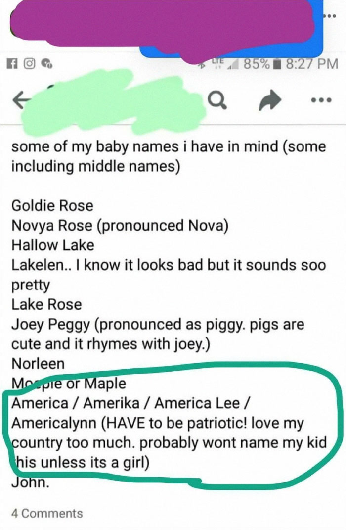 Screenshot of a list of unusual baby names including America and Amerika shared in a post about insane parents online.