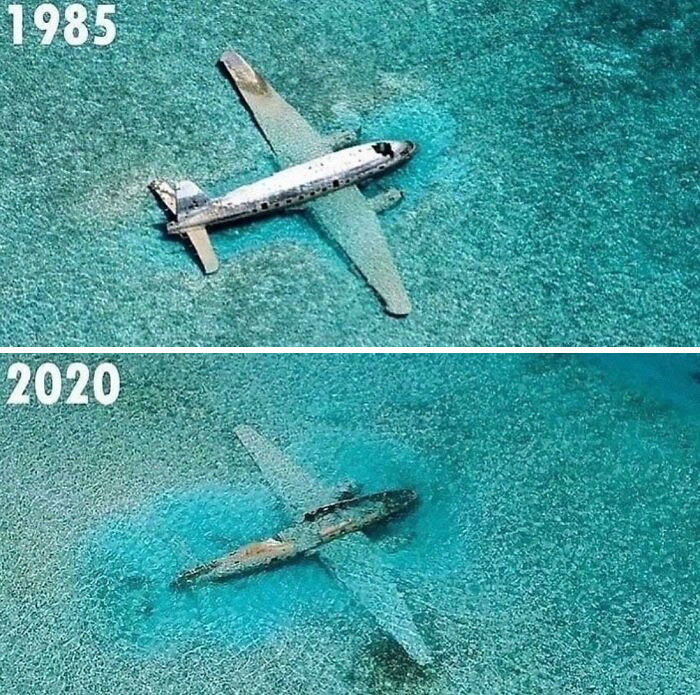 Then and now pics showing an underwater plane wreck in 1985 and its decay by 2020, illustrating how time changes things.