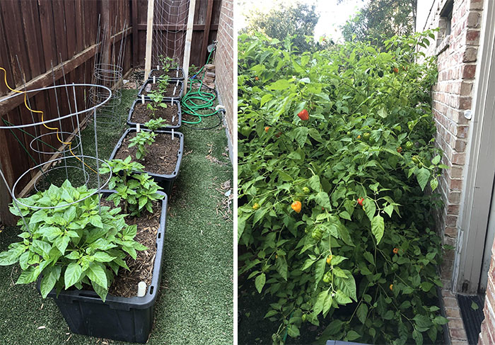 How It Started: How Its Going