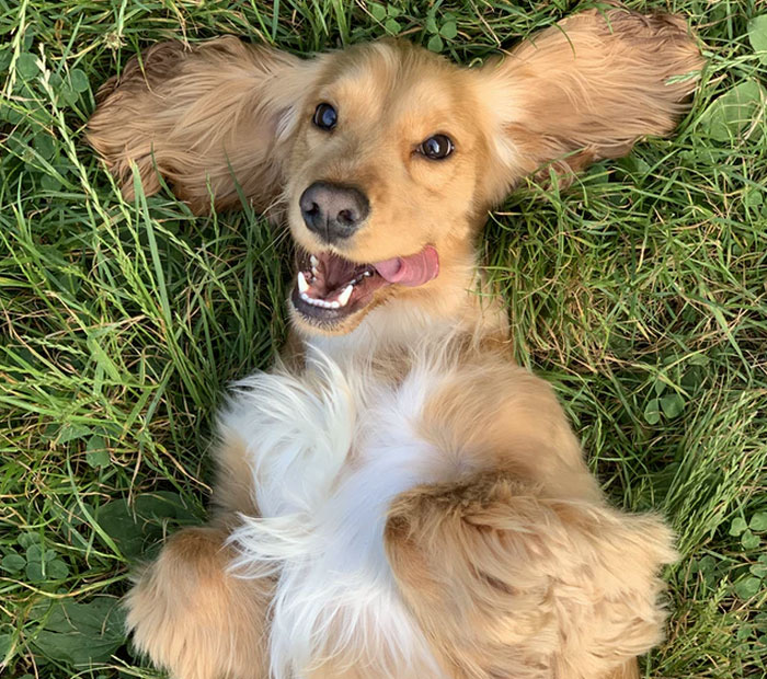 30 People Share One Piece Of Advice That Changed Their Entire Life