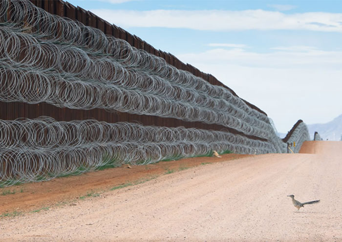 Here Are The 30 Winners Of 2021 Bird Photographer Of The Year Awards