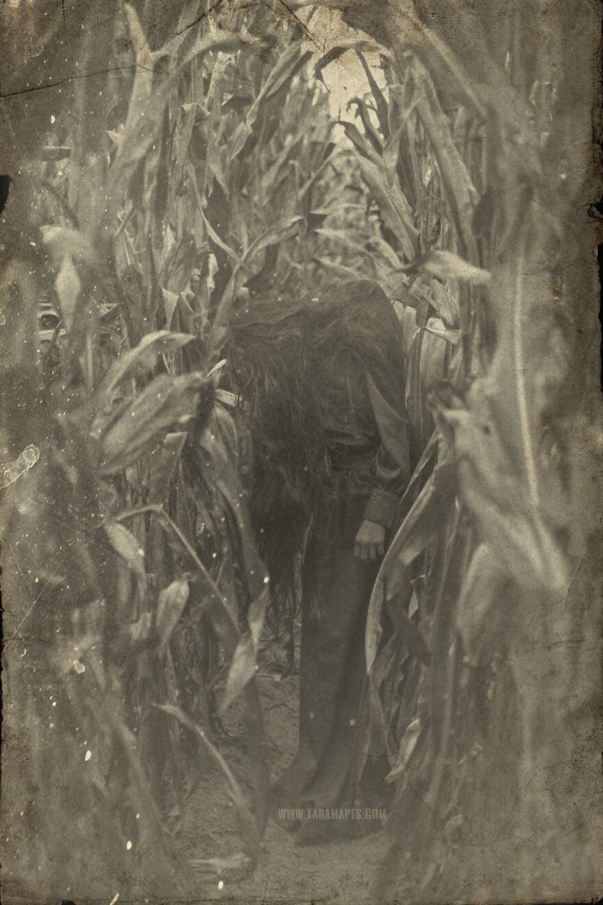 I Photographed Creepy Clowns In A Cornfield Because I Love Vintage Horror Halloween Images