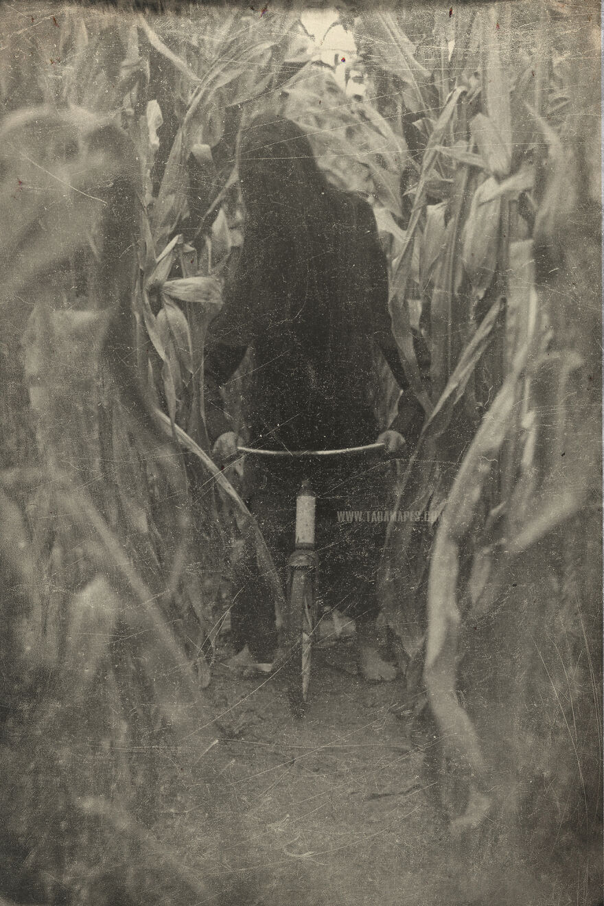 I Photographed Creepy Clowns In A Cornfield Because I Love Vintage Horror Halloween Images
