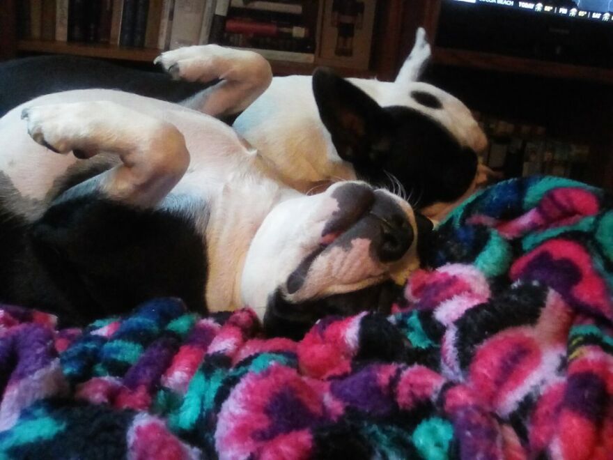 Not The Best, Just My Two Sisters Being Bored, One Up, One Down.