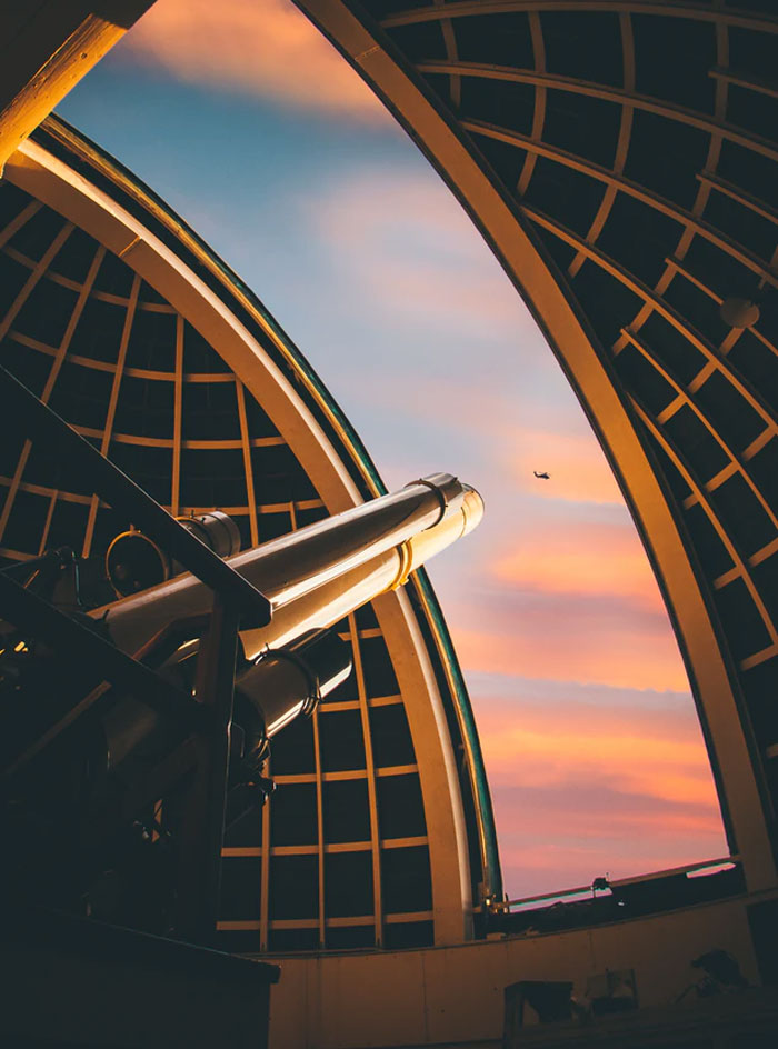 20 Ejemplos muy interesantes del "efecto mariposa" en la historia