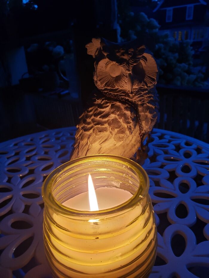 Enjoying Nightfall With A Friend