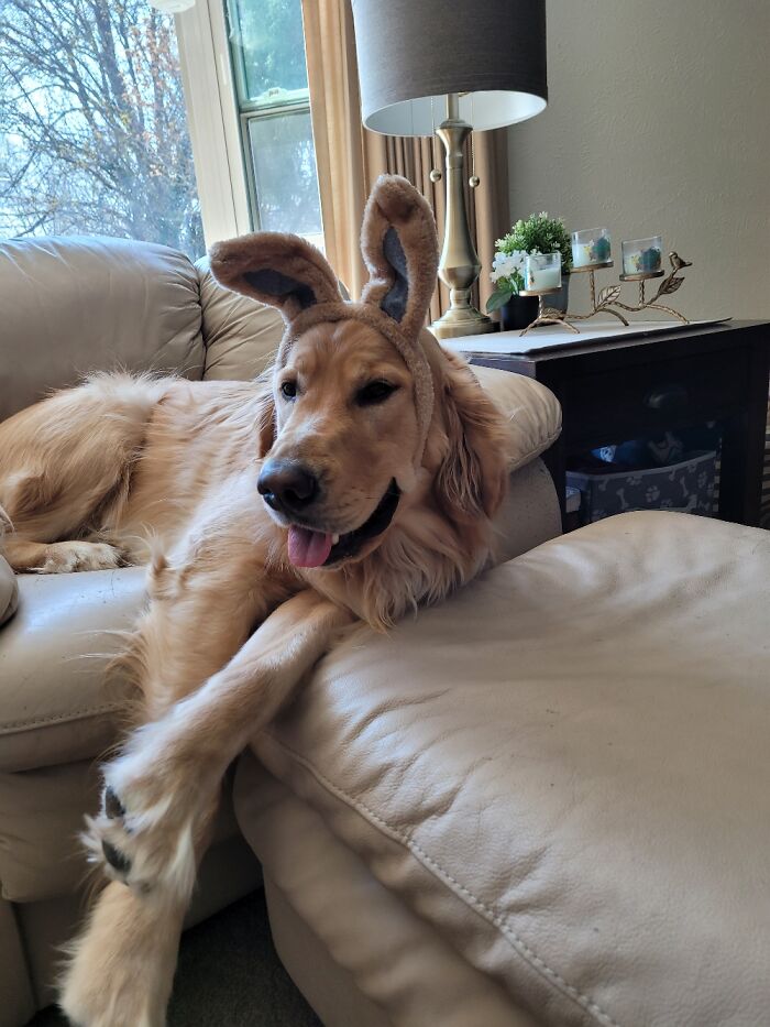 The Kids Were Wearing Them. He Wouldnt Stop Whinning Until He Got A Pair