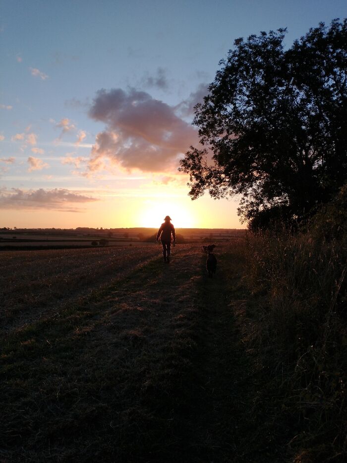 Last Night's Sunset.