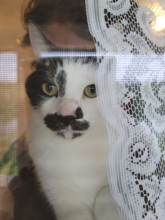 This Silly Thing ^.^