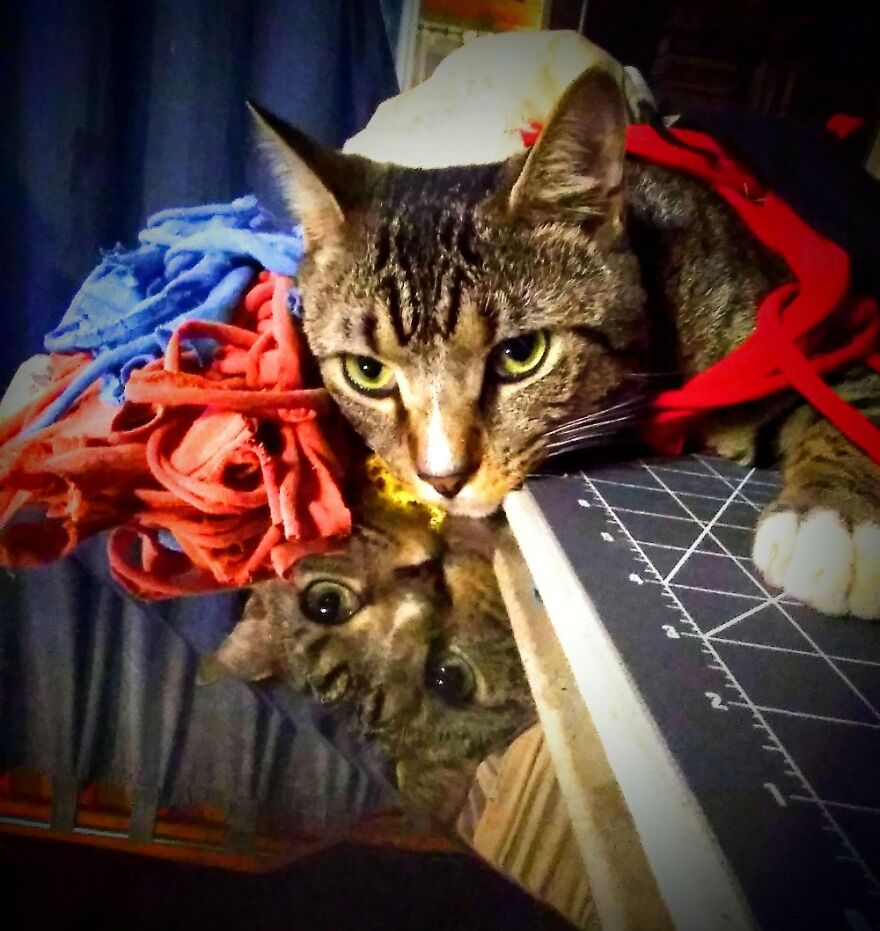 My Kash. All Played Out.