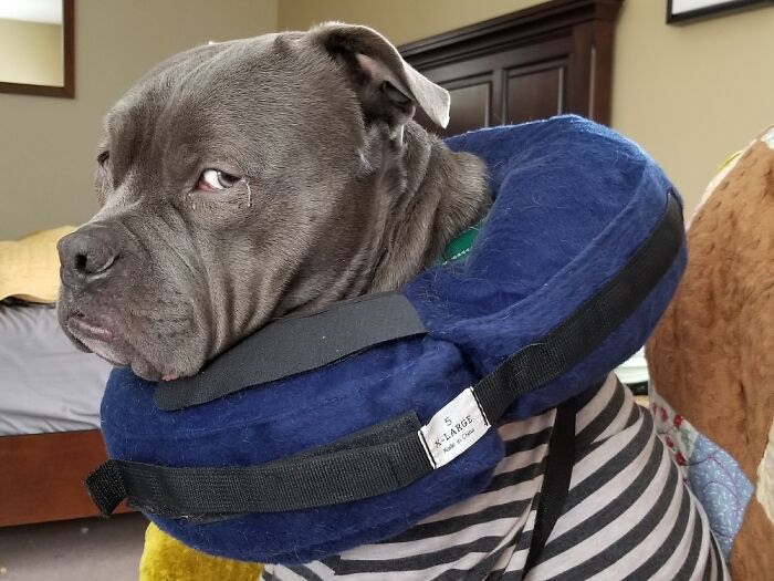 If Looks Could Kill...