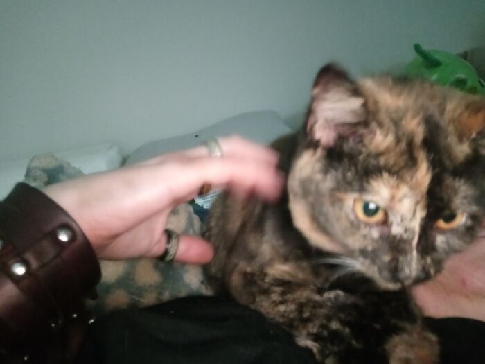 Baby Caelin Checking Out The Phone.