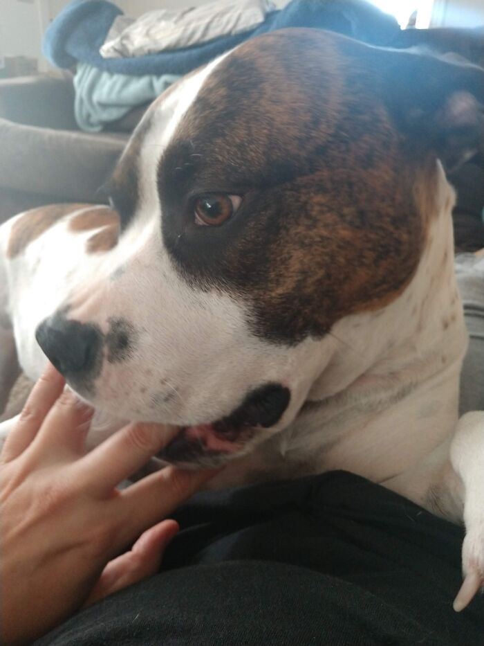 I Chews On Moms Fingers