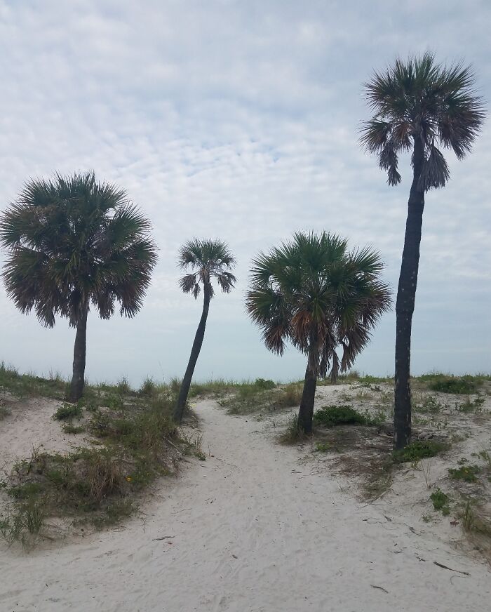 Clearwater, Florida, July 2021