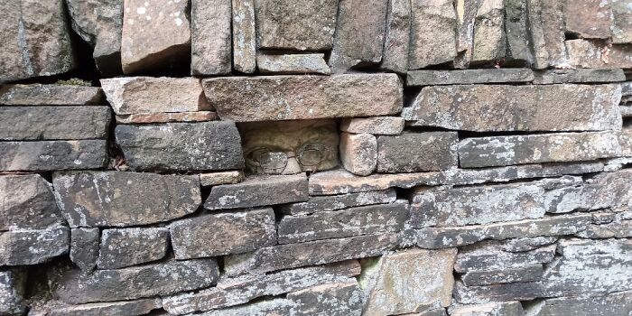 In A Dry-Stone Wall, Derbyshire UK