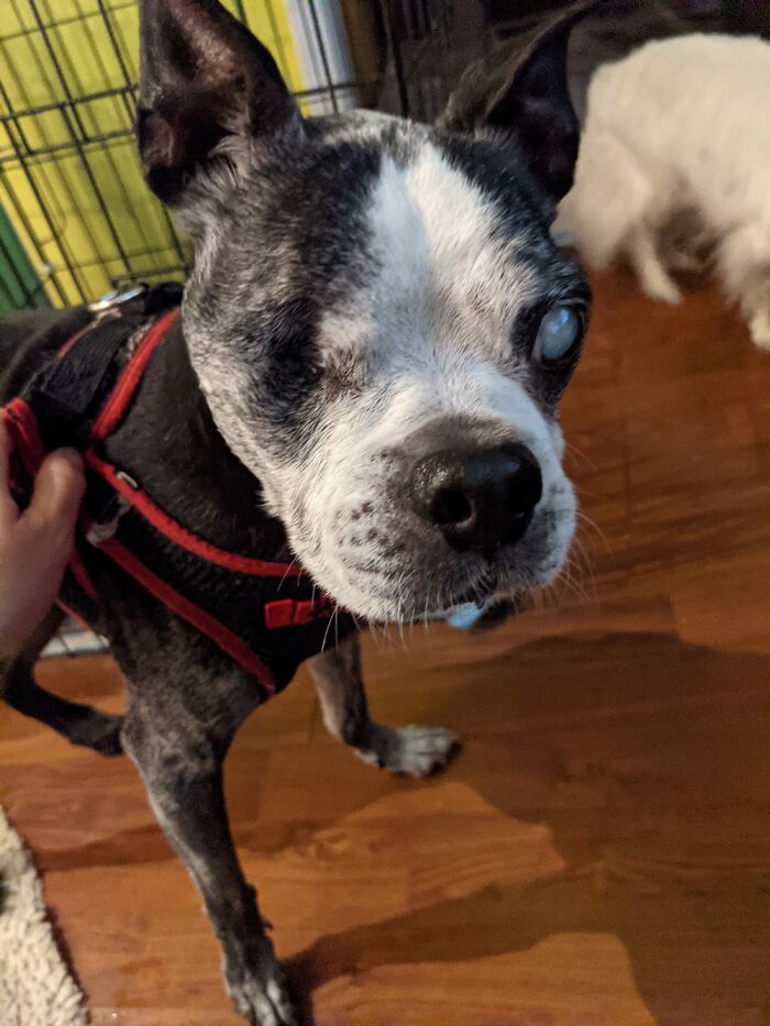 Sam Will Be 16 In A Few Months. I Love Him Forever