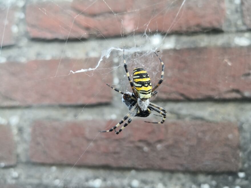 Not The Coolest Ever But Very Recent.