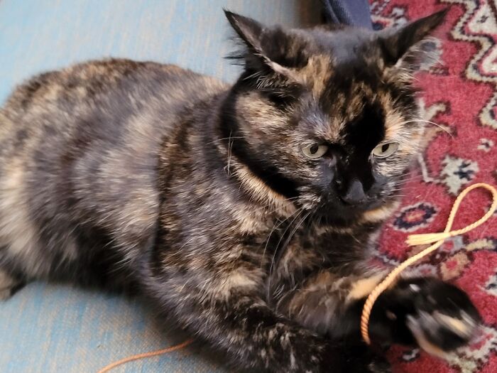 This Is Not Play... Learning How To Tie Up Jhma