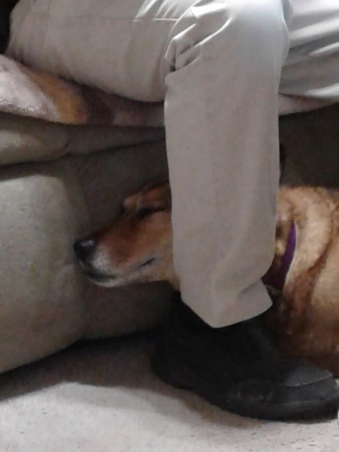 Sable Hides From Thunder