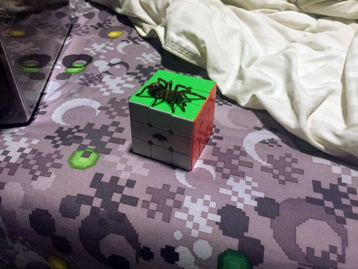 There's Not A Whole Lot Of Funny Pictures Of Amber So Here's The Best One I Could Find