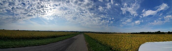All The Beauty, All The Time Near Evansville, Wisconsin.