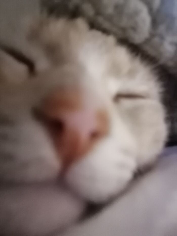 Little Sweetheart. Homeless And Hungry No More!