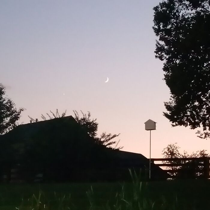 Random Sunset Pic I Took :)