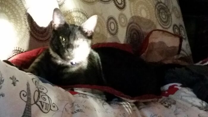 Unedited. Loved It Because It Looks Like A Painting. Even Blew It Up And Printed It On A Board.