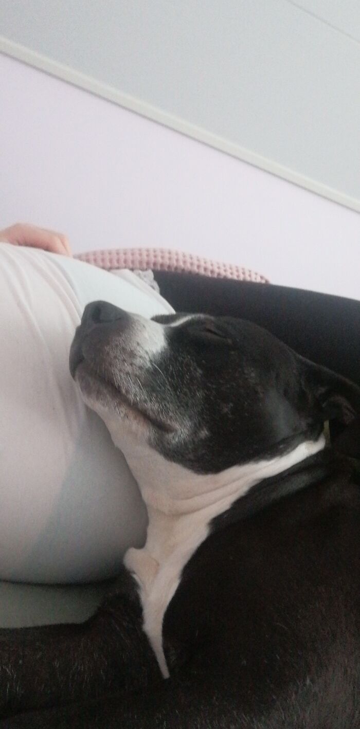 39 Weeks Preggo Belly Is The Greatest Pillow