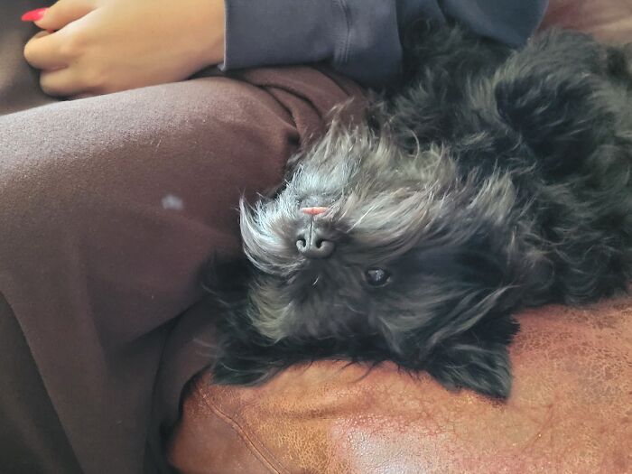 Upside Down Bleep From Indy