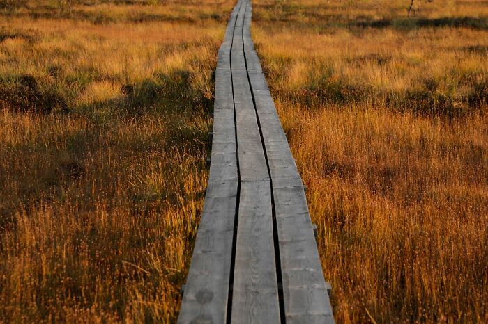 Autumn Colours In Early Morning