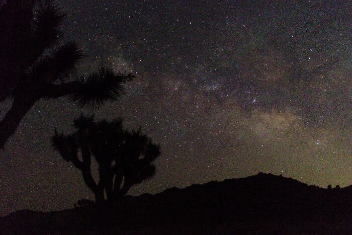 Joshua Tree National Park