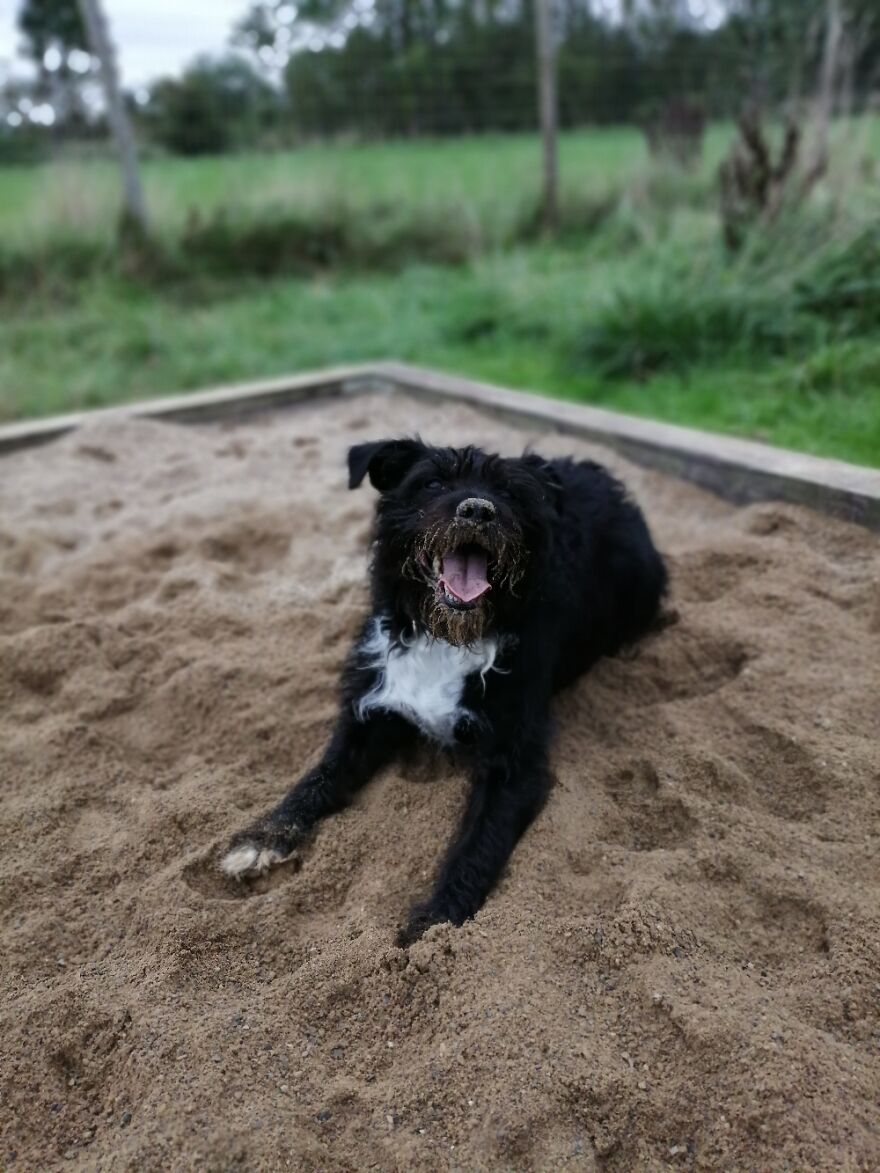 My Girl Daisy, Always Living Her Best Life