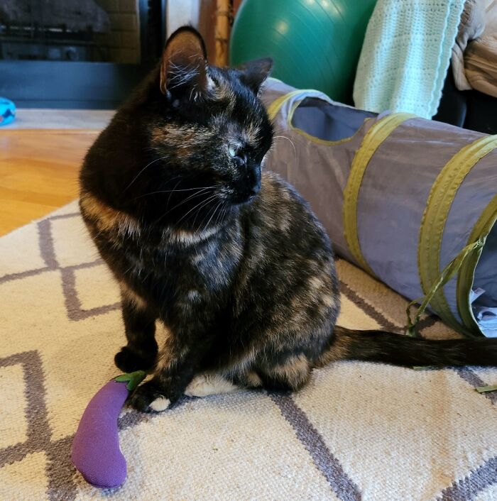 Morada Is Not Into New Toy